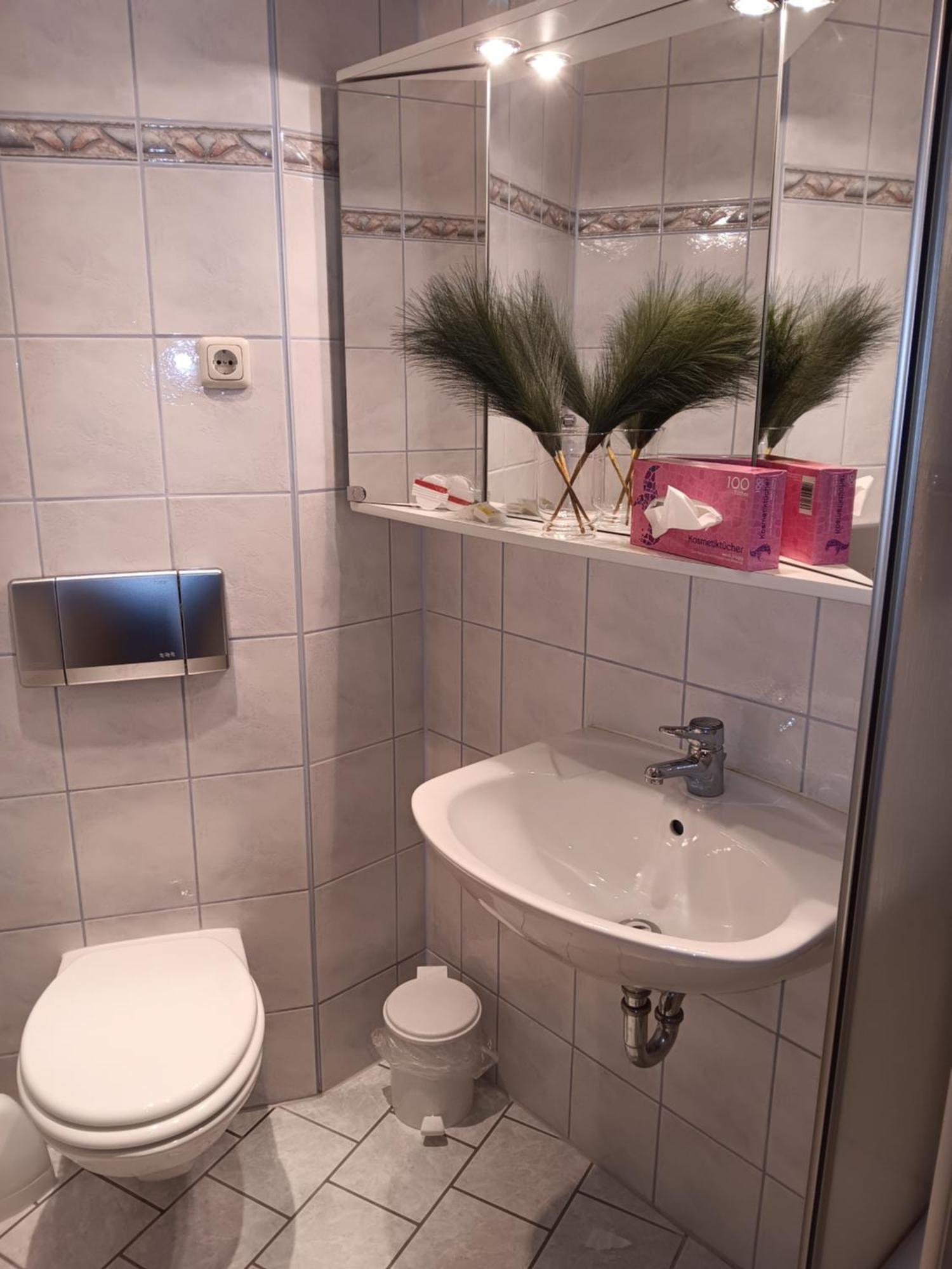 Oberweißbach Hotel Burghof מראה חיצוני תמונה